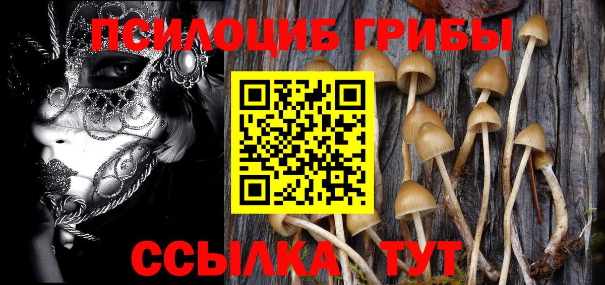 Псилоцибиновые грибы Cubensis Ревда